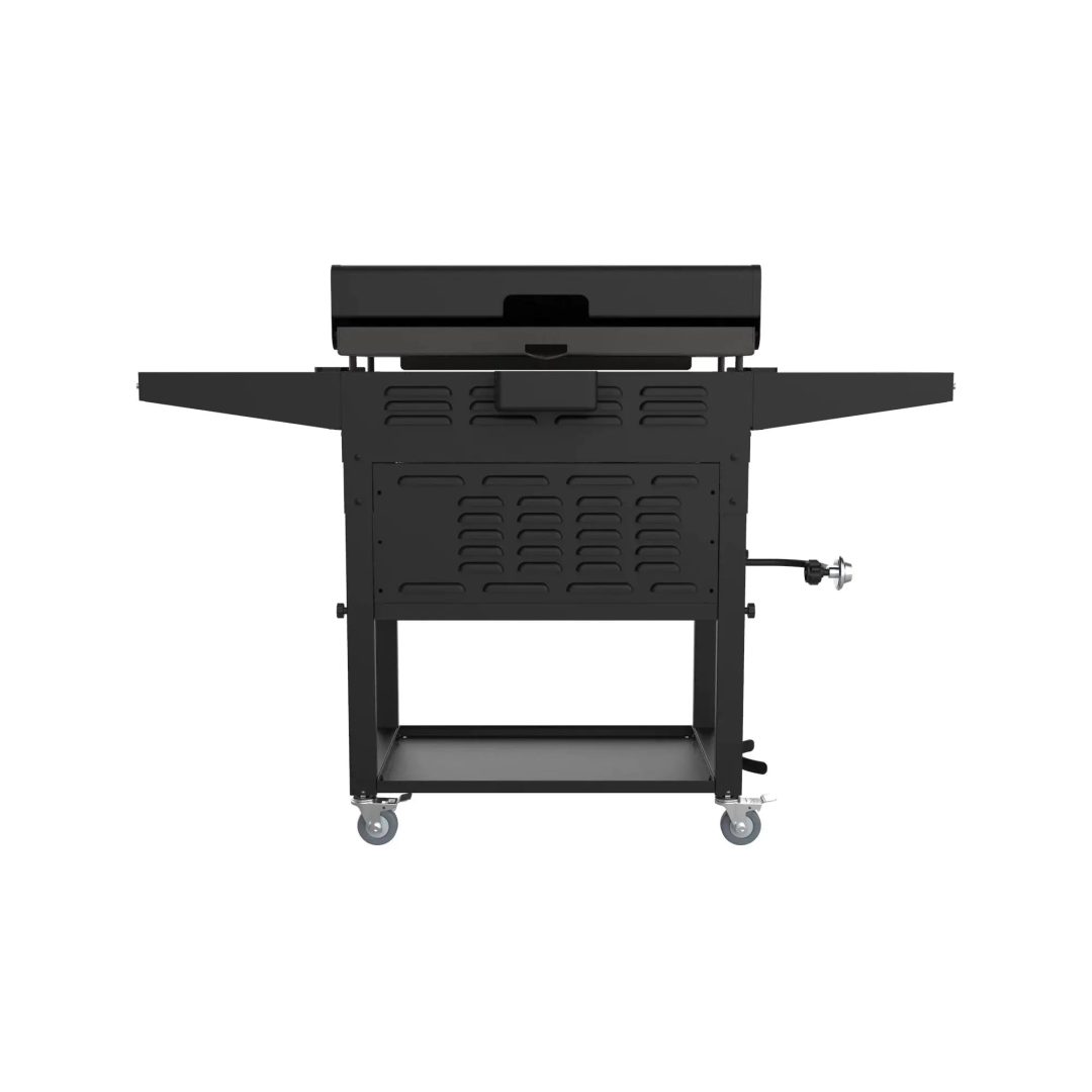 ZenVora 28-Inch 2-Burner Griddle with Electric Air Fryer and Hood