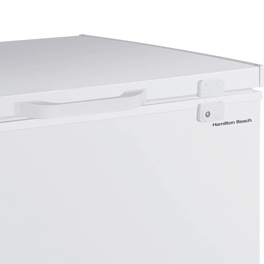 ZenVora 21.0 Cu. Ft. Chest Freezer with Double Doors - White with External Temperature Control