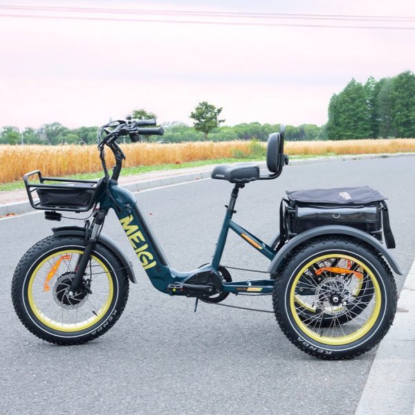 ZenVora 48V 14Ah 750W Foldable Fat Tire Electric Trike, 330-Lb. Capacity