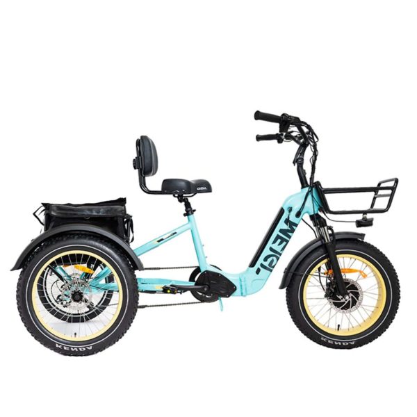 ZenVora 48V 14Ah 750W Foldable Fat Tire Electric Trike, 330-Lb. Capacity