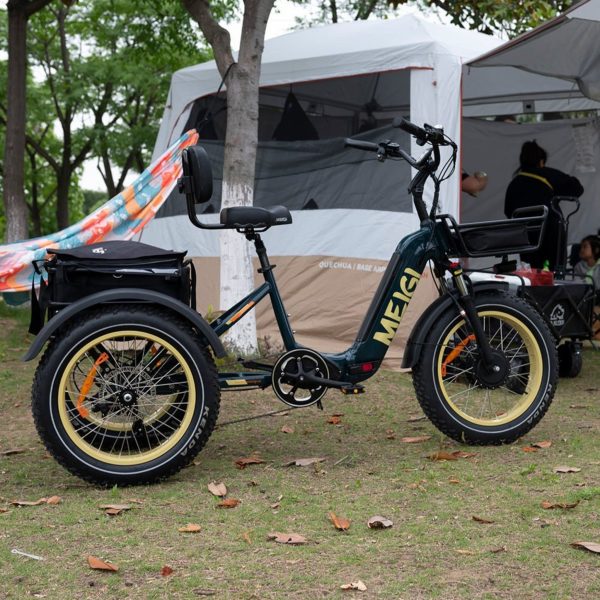 ZenVora 48V 14Ah 750W Foldable Fat Tire Electric Trike, 330-Lb. Capacity