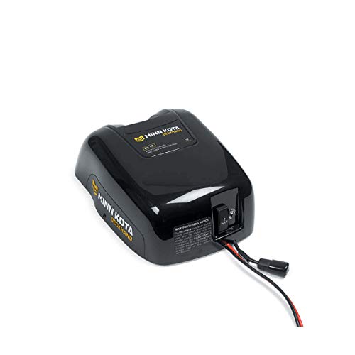 ZenVora Electric Boat Anchor Winch with Horizontal Mount Davit, 40 lb Capacity, 100 ft Nylon Rope & Mounting Hardware