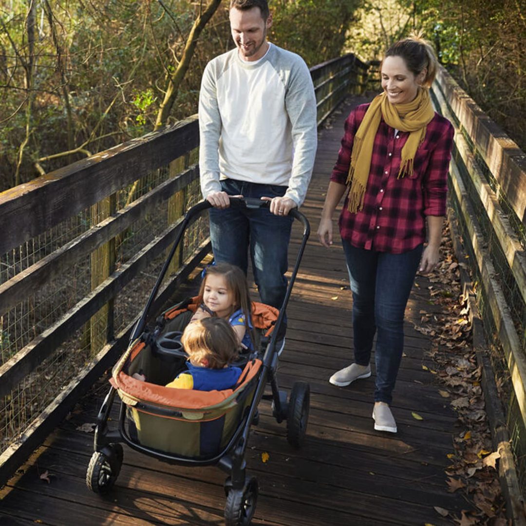 ZenVora 2-in-1 All-Terrain Baby Stroller Wagon with Canopy and Storage - Gray
