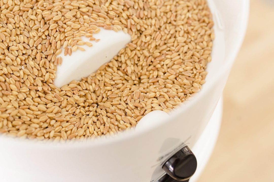 ZenVora Classic high-speed electric grain grinder, a wheat flour grinder used for making fresh flour, equipped with a stainless steel grinding head