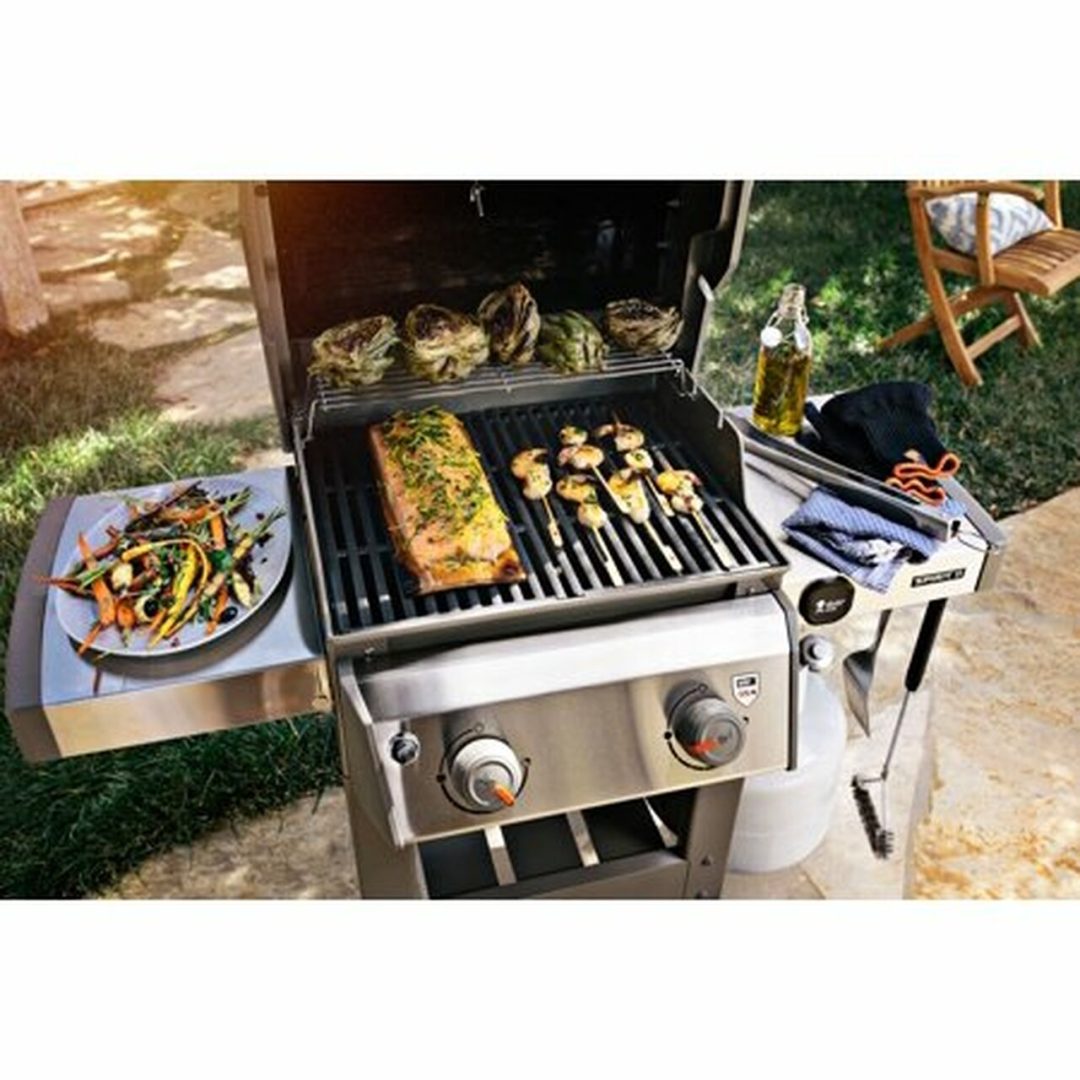 ZenVora 2-Burner Propane Gas Grill with 450 sq. in. Cooking Area, Porcelain-Enameled Cast Iron Grates, Black