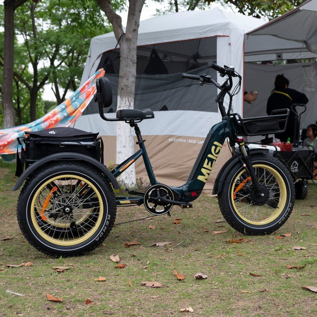 ZenVora 48V 14Ah 750W Foldable Fat Tire Electric Trike, 330-Lb. Capacity
