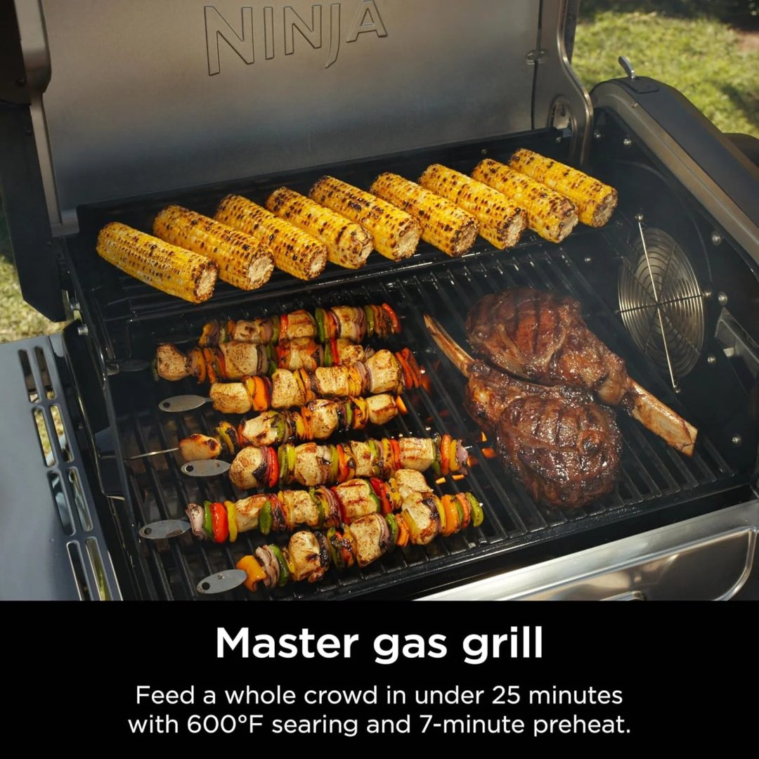 ZenVora 5-in-1 Electric and Propane Grill, 3-Burner Outdoor BBQ Grill and Smoker with Digital Controls, Griddle and Pizza Maker, Stainless Steel