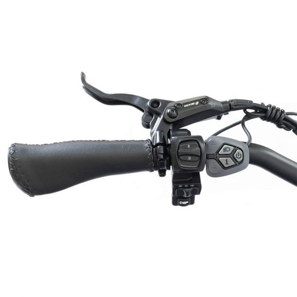 ZenVora 750W Foldable Electric Trike - 48V 14Ah Fat Tire 3 Wheel E-Bike with Baskets