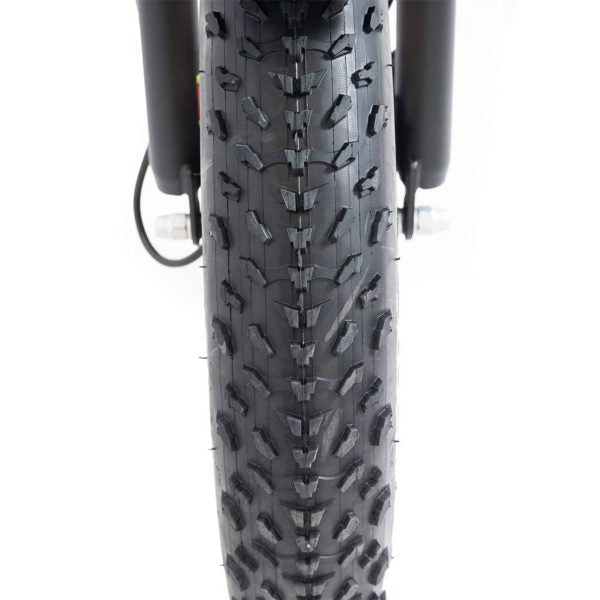 ZenVora 750W Foldable Electric Trike - 48V 14Ah Fat Tire 3 Wheel E-Bike with Baskets