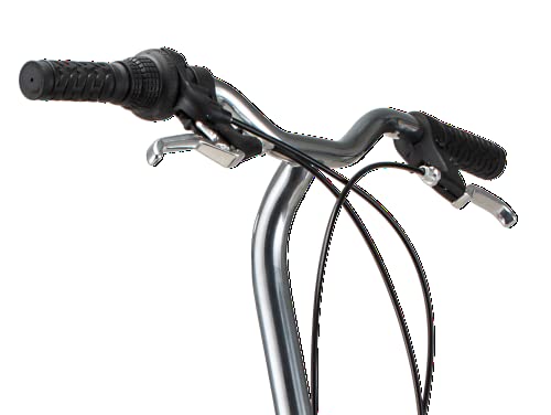 ZenVora 20-Inch Folding Adult Bike for Men and Women, 7-Speed Drivetrain
