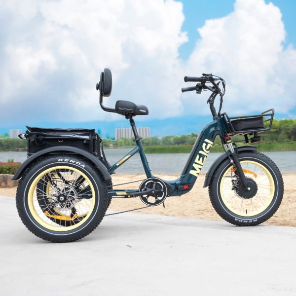 ZenVora 48V 14Ah 750W Foldable Fat Tire Electric Trike, 330-Lb. Capacity