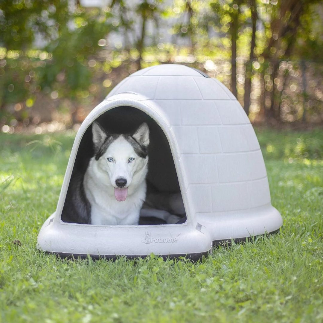 ZenVora XL Igloo Dog House for Dogs 90-125 Lbs., All-Weather Pet Shelter, Made in USA