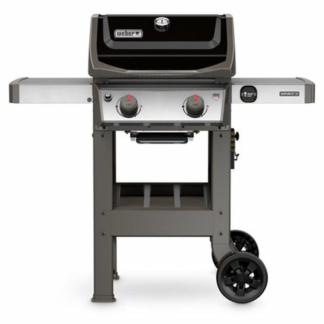 ZenVora 2-Burner Propane Gas Grill with 450 sq. in. Cooking Area, Porcelain-Enameled Cast Iron Grates, Black