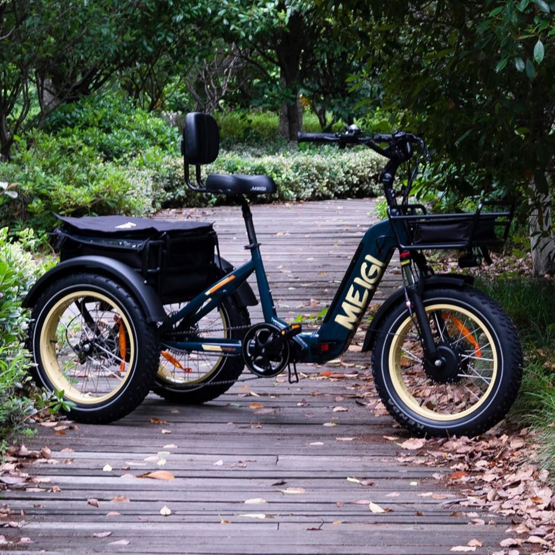 ZenVora 48V 14Ah 750W Foldable Fat Tire Electric Trike, 330-Lb. Capacity
