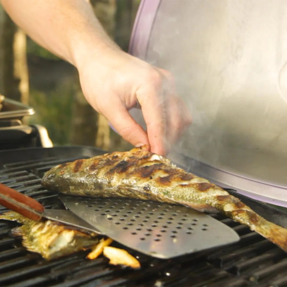 ZenVora Propane Gas Grill, Titanium