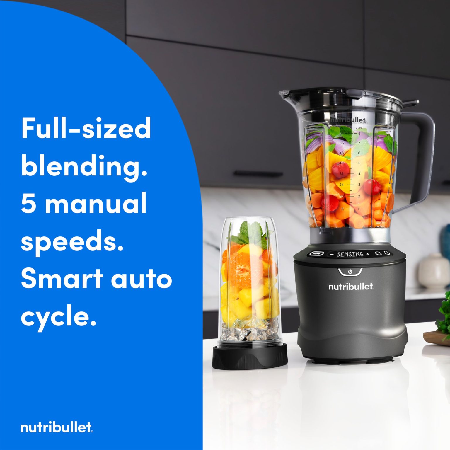ZenVora 1400-Watt Blender Combo, Multi-Function Countertop Blender with Multiple Speed Settings, Gunmetal