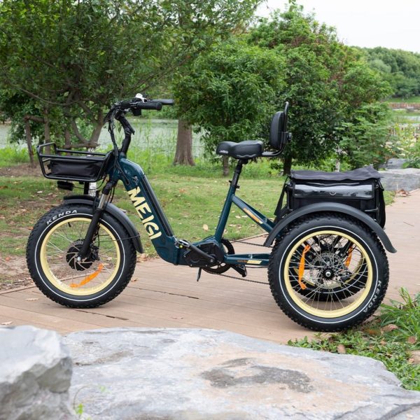 ZenVora 48V 14Ah 750W Foldable Fat Tire Electric Trike, 330-Lb. Capacity