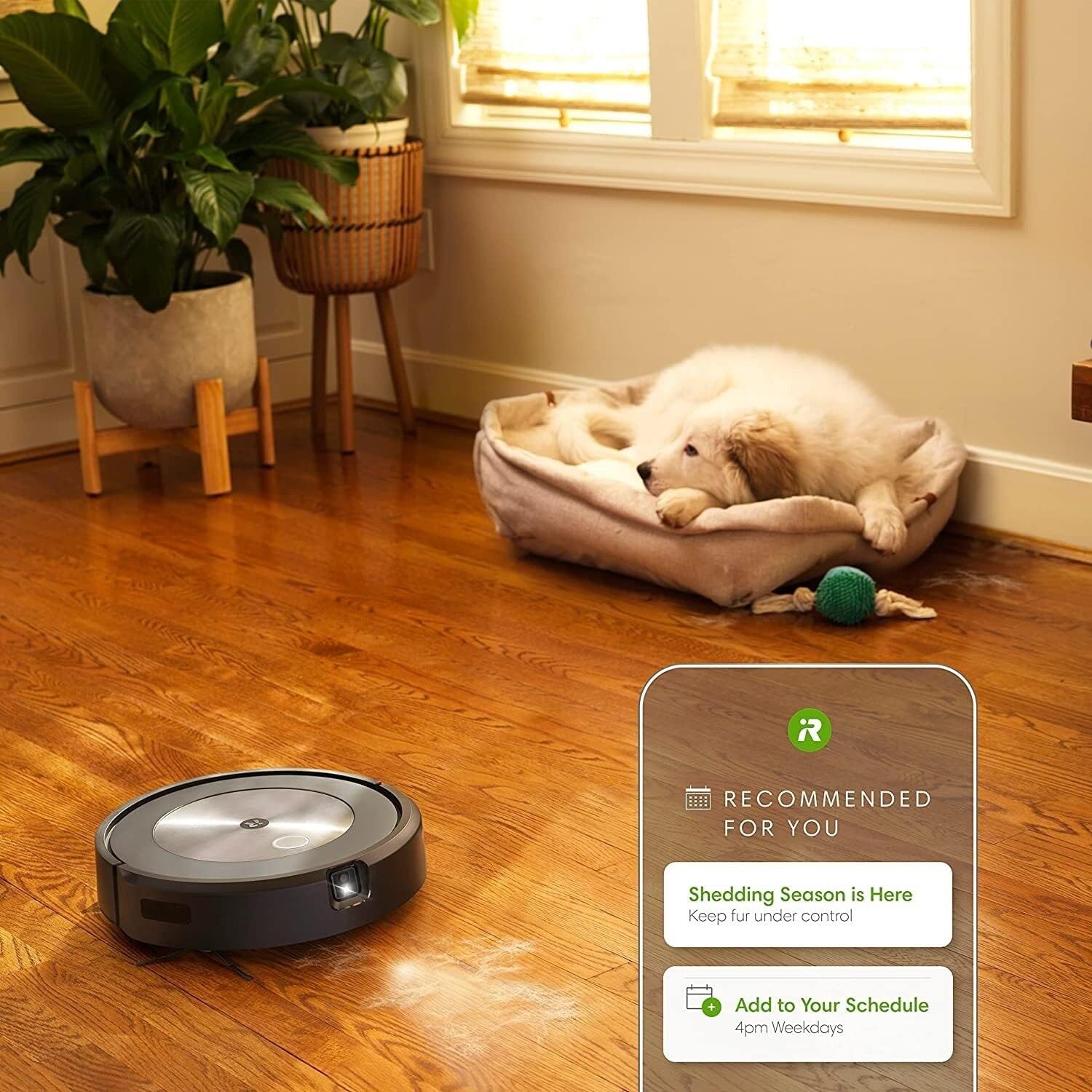 ZenVora Self-Emptying Robot Vacuum Cleaner