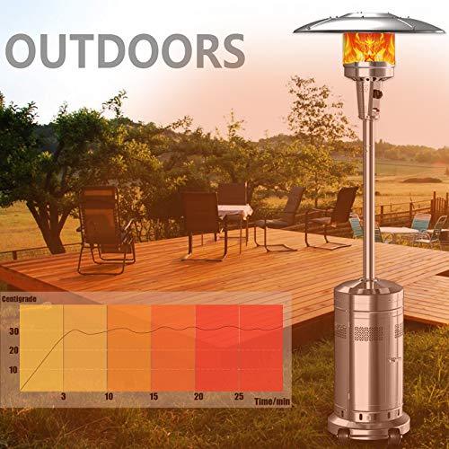 ZenVora 2-Pack 48,000 BTU Propane Patio Heaters with Wheels, Stainless Steel, Silver