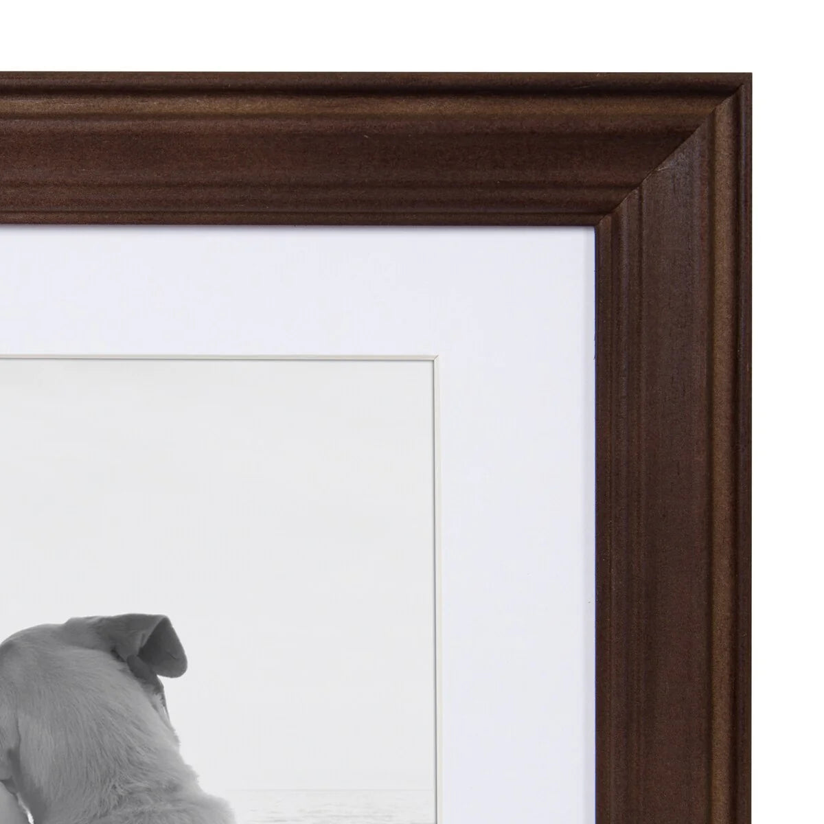 ZenVora 10-Piece Wood Gallery Wall Picture Frame Set, Decorative Photo Display Frames for Living Room, Bedroom and Home Decor
