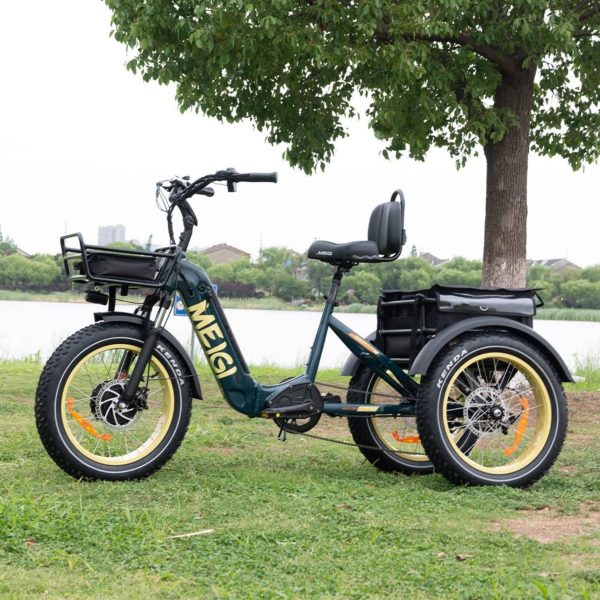ZenVora 48V 14Ah 750W Foldable Fat Tire Electric Trike, 330-Lb. Capacity