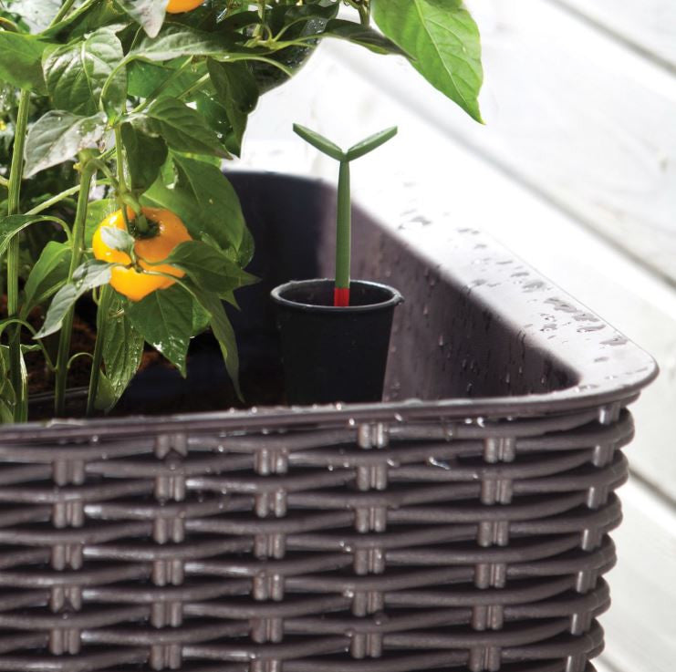 ZenVora 31.7 Gallon Raised Garden Bed Planter - Resin Wicker Elevated Planter with Water Indicator