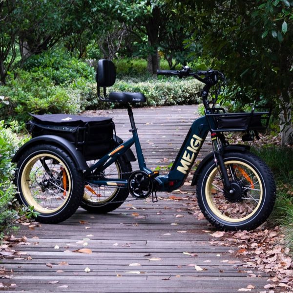 ZenVora 48V 14Ah 750W Foldable Fat Tire Electric Trike, 330-Lb. Capacity