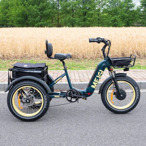 ZenVora 48V 14Ah 750W Foldable Fat Tire Electric Trike, 330-Lb. Capacity