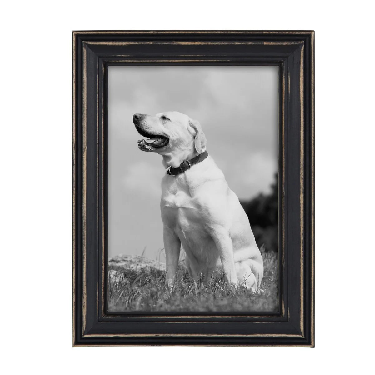 ZenVora 10-Piece Wood Gallery Wall Picture Frame Set, Decorative Photo Display Frames for Living Room, Bedroom and Home Decor