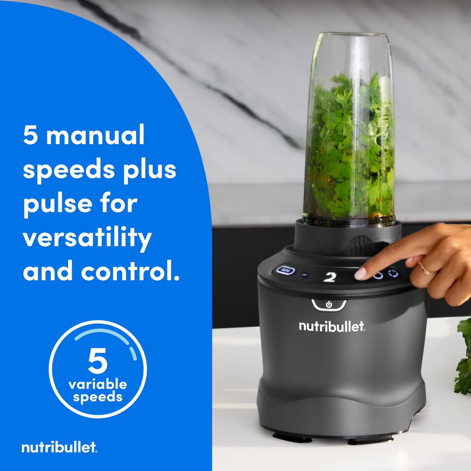 ZenVora 1400-Watt Blender Combo, Multi-Function Countertop Blender with Multiple Speed Settings, Gunmetal