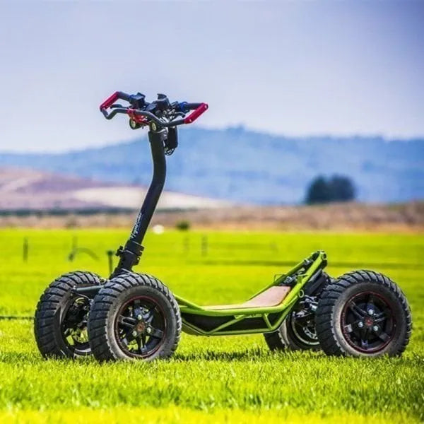 ZenVora All-terrain 4X4 off-road vehicles(Limited to one)