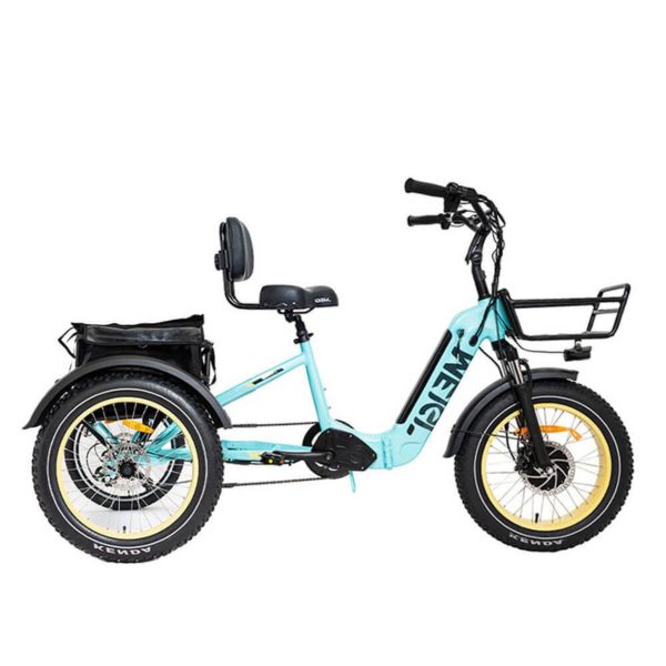 ZenVora 48V 14Ah 750W Foldable Fat Tire Electric Trike, 330-Lb. Capacity